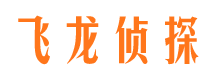 马山市私家侦探